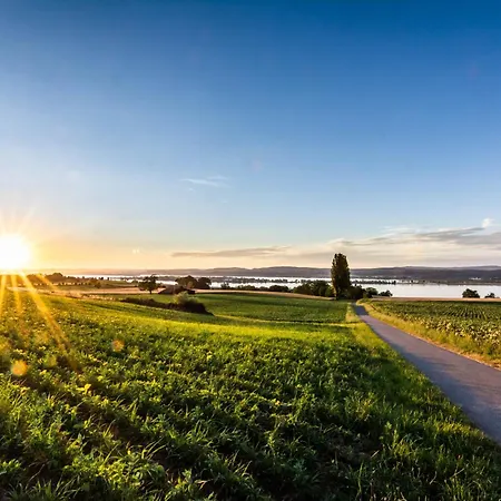 Daire Copper House Altstadt Konstanz