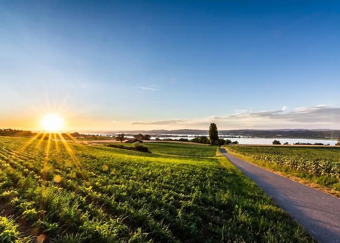 Daire Copper House Altstadt Konstanz